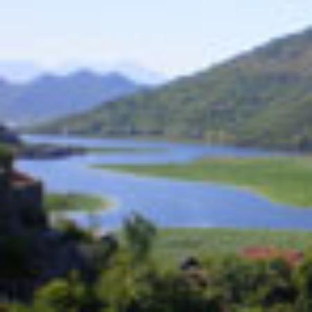 ShengHuo WuXian Cafe